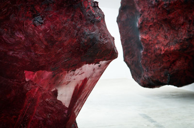 Anish Kapoor - 